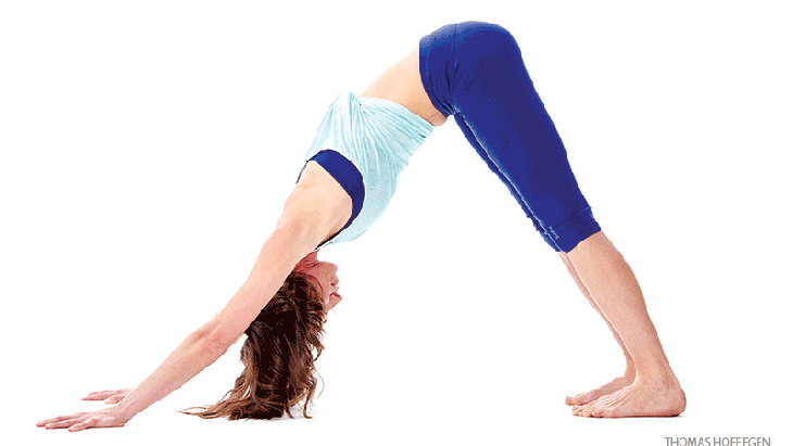 Tara Stiles Core Sequence Tara Stiles Core Sequence