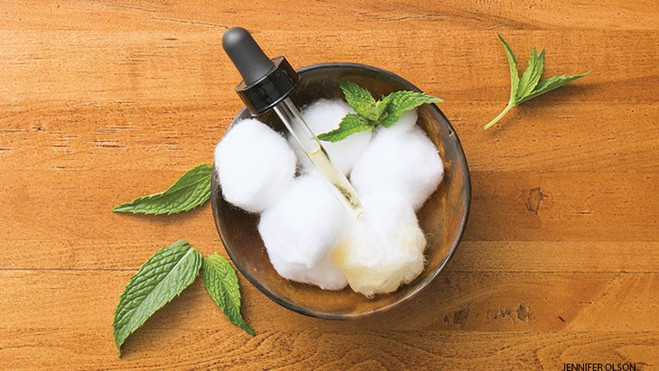 Mouse Repellent Mouse Repellent