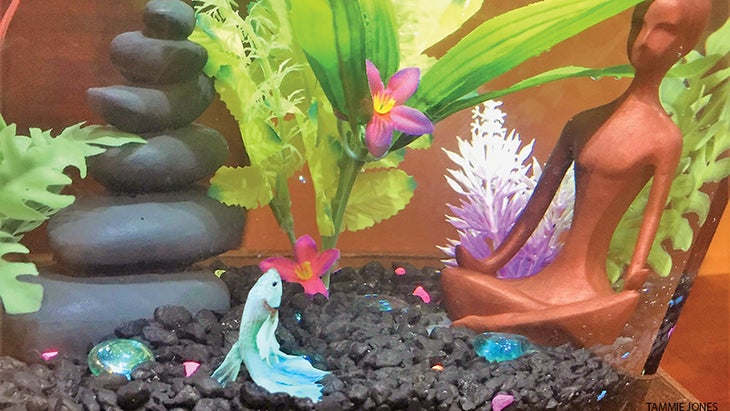 fish doing yoga fish doing yoga
