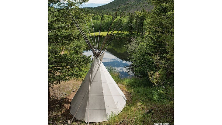 Retreat_feather_290_gn