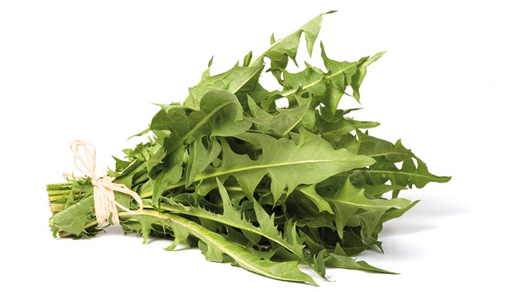 dandelion greens detoxifying dandelion greens