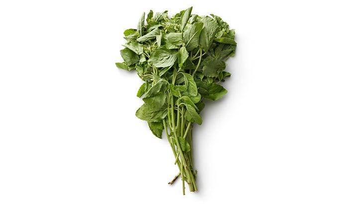 Holy Basil Holy Basil