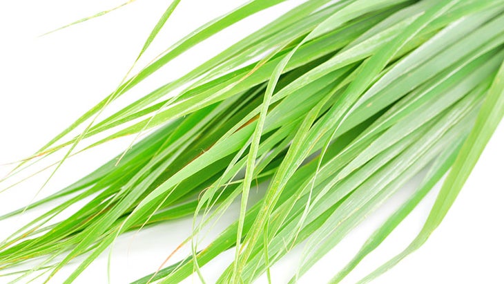 Lemongrass Lemongrass