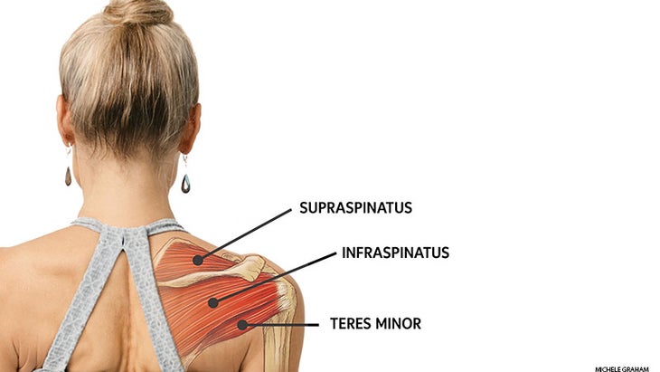 May-Anatomy_1