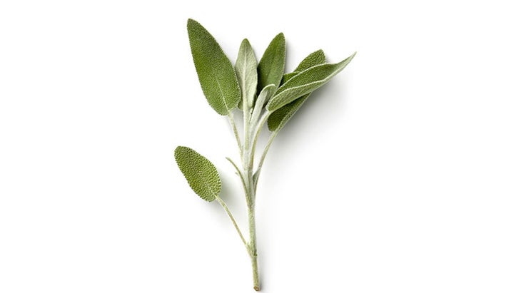 Sage Sage