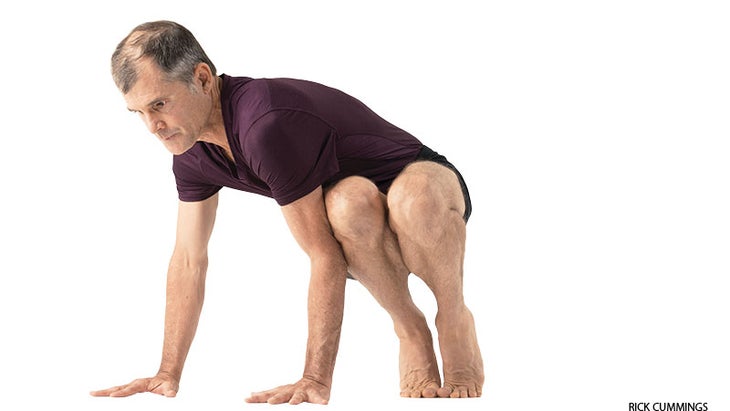 Side Crane Pose Side Crane Pose, challenge pose