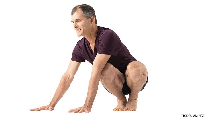 Side Crane Pose Side Crane Pose