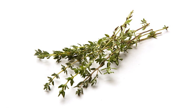 Thyme