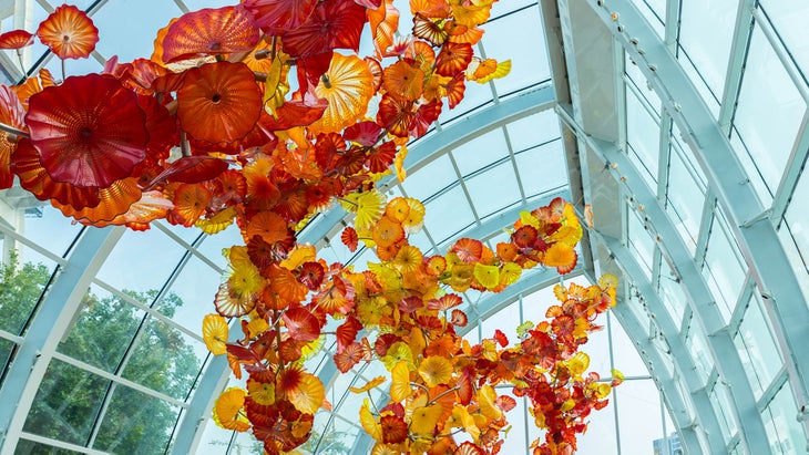 10-ceiling-flowers None