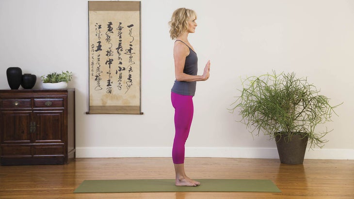 2-TADASANA-WITH-CHATURANGA-DANDASANA-ARMS-Mountain-Pose-with-Four-Limbed-Sta--Pose-Arms-Natasha-Rizopoulos None