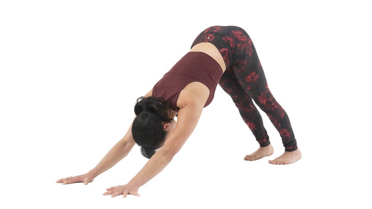 Anatomy_downdog fascia