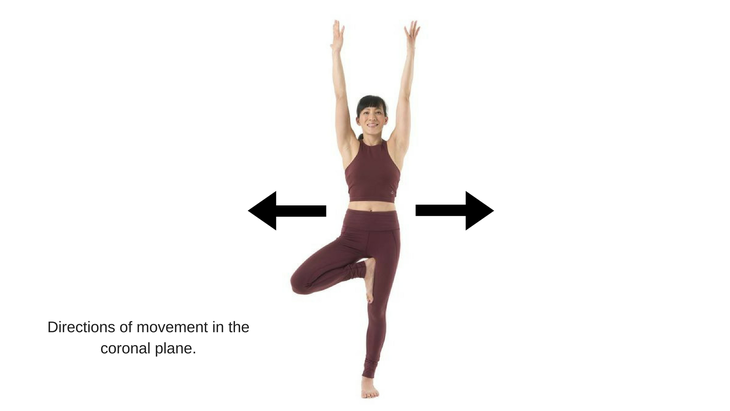 The 3 Anatomical Planes Of Movement Sagittal Coronal And Transverse The 3 Anatomical Planes Of Movement Sagittal Coronal And Transverse