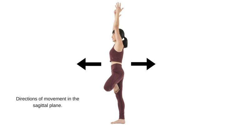 The 3 Anatomical Planes Of Movement Sagittal Coronal And Transverse