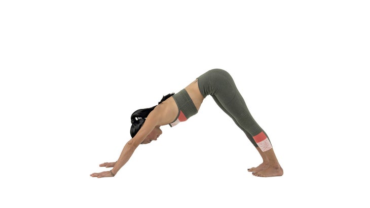 downdog-yogapedia None
