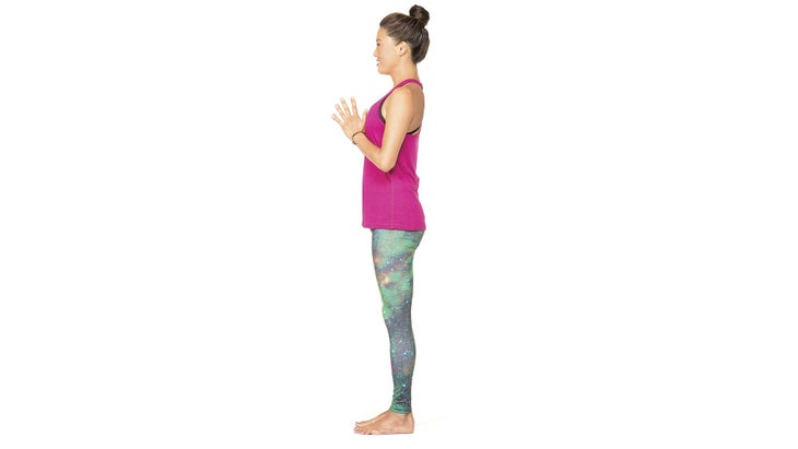 Anatomy_tadasana None