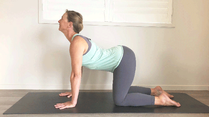 cat-cow Gentle flow yoga pose GIF
