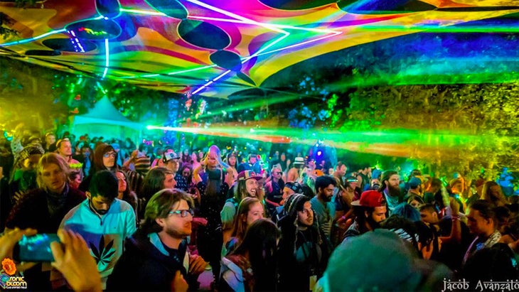 sonicbloom None