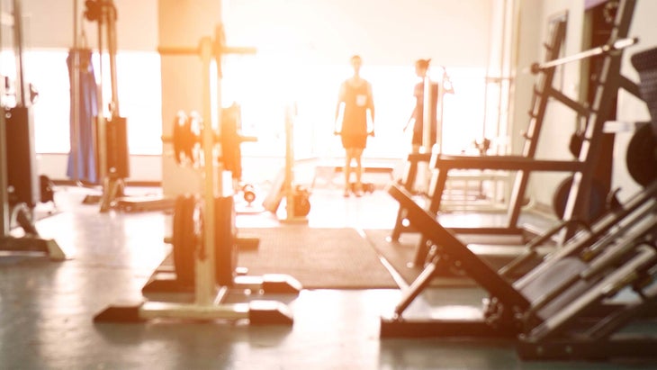 gym-weights None