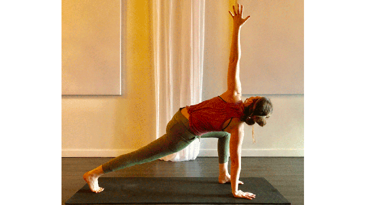 twistedlowlunge-sideangle Twisted Low Lunge, Side Angle, to Low Lunge TCM