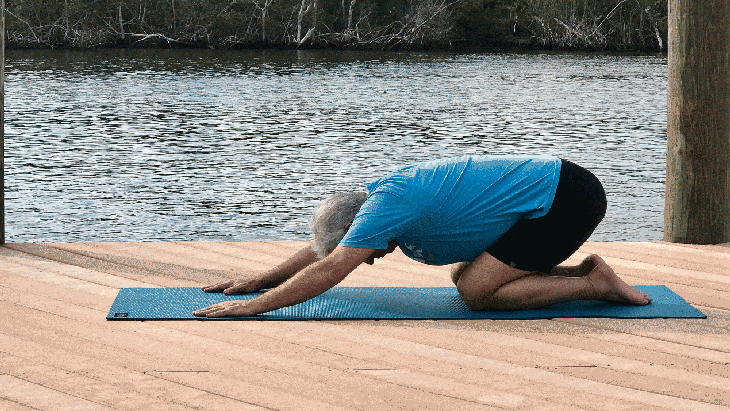 cow-childs cow pose, child's pose, Sun Salutation