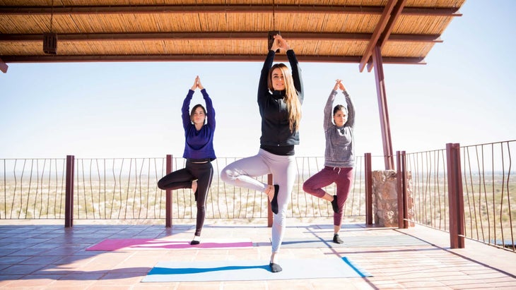 retreats-treepose yoga retreats, tree pose