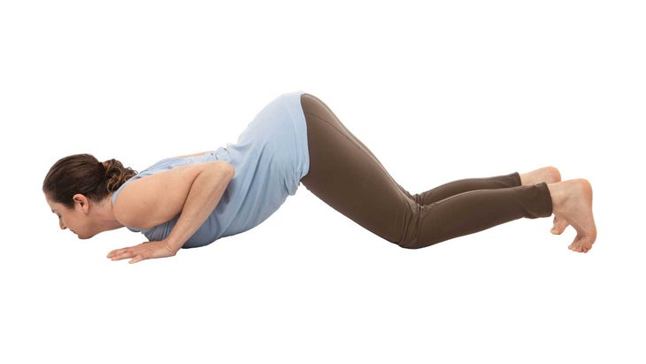 HEALING_kneeschestchin bladder and kidney, knees chest chin