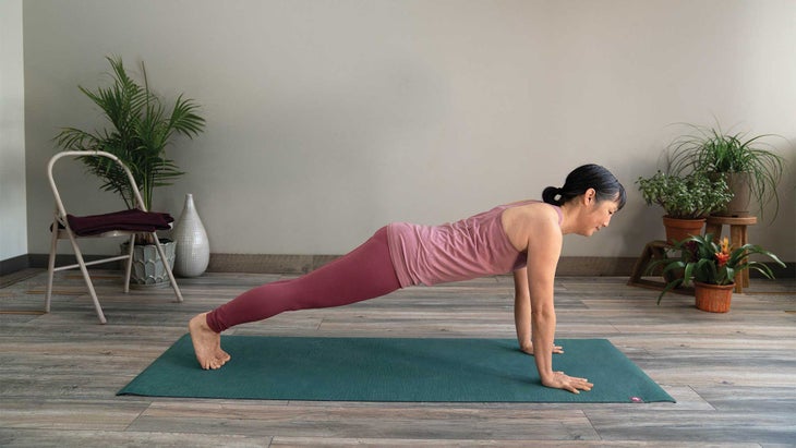 plankpose-pelvis Plank Pose, pelvis