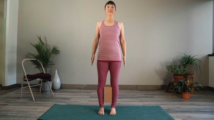 tadasana-mountainpose-withblock tadasana, mountain pose, pelvis