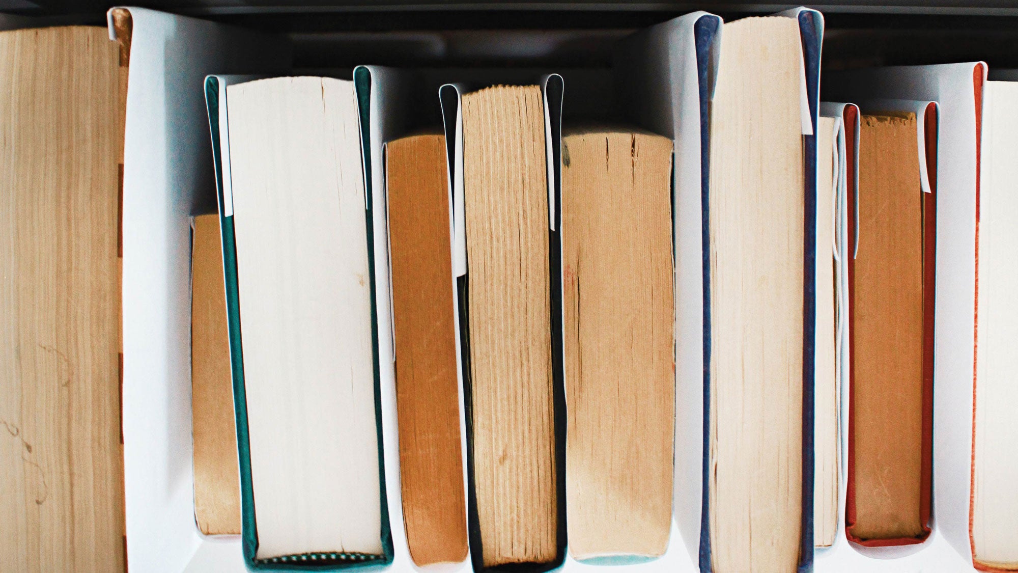 Book Club: Companions for Contemplation