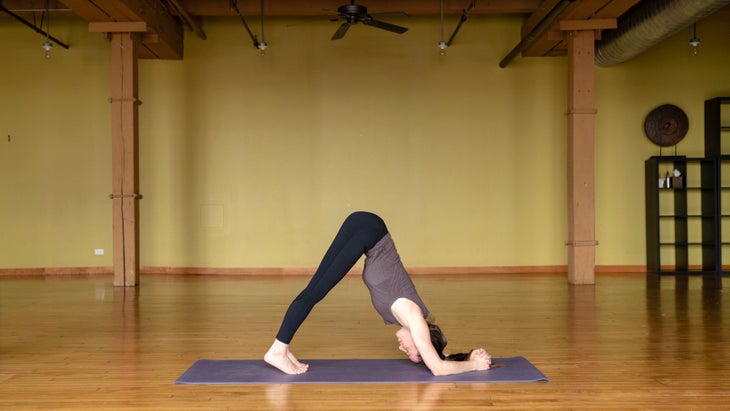 CCD06697 Dolphin Pose