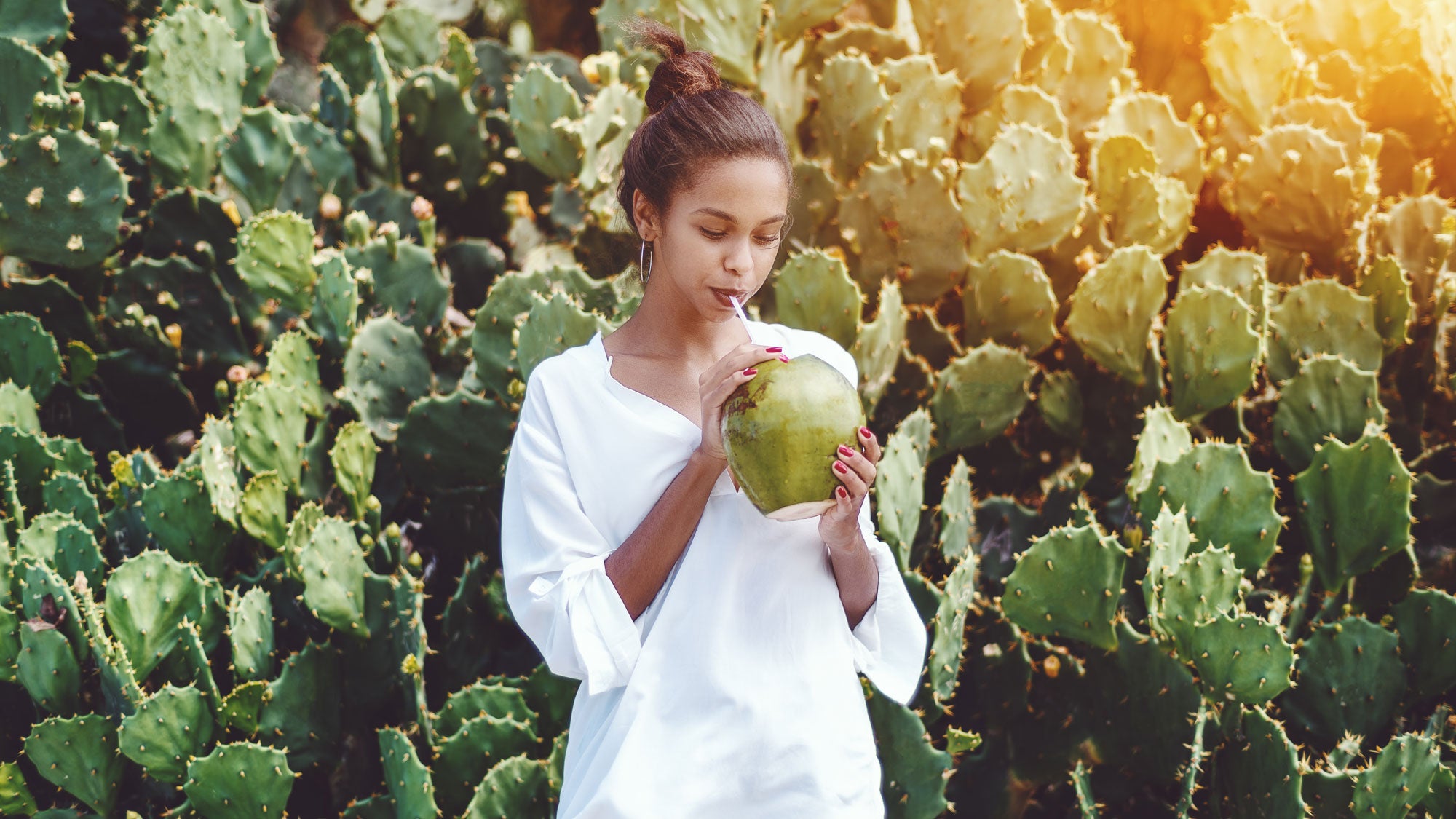 how to be a social media influencer