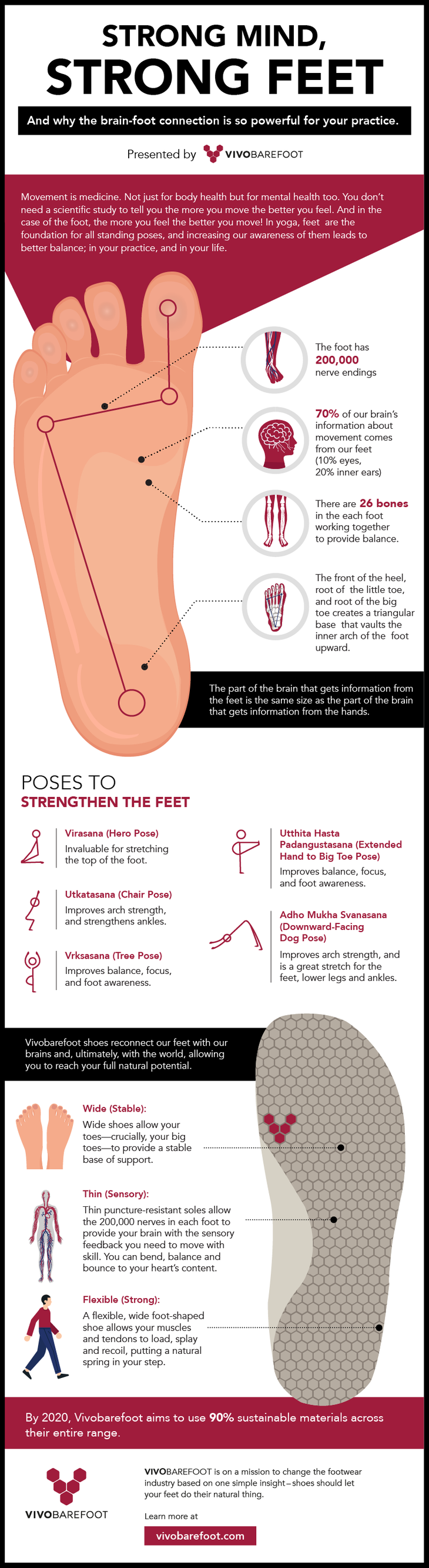 vivo-infographic_Final Brain-Foot Connection Infographic