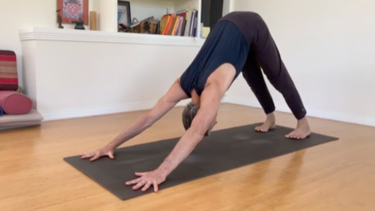 Richard Freeman - Downward-Facing Dog None