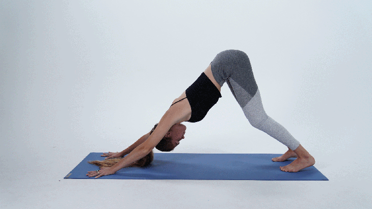 Gabby6 Adho Mukha Svanasana