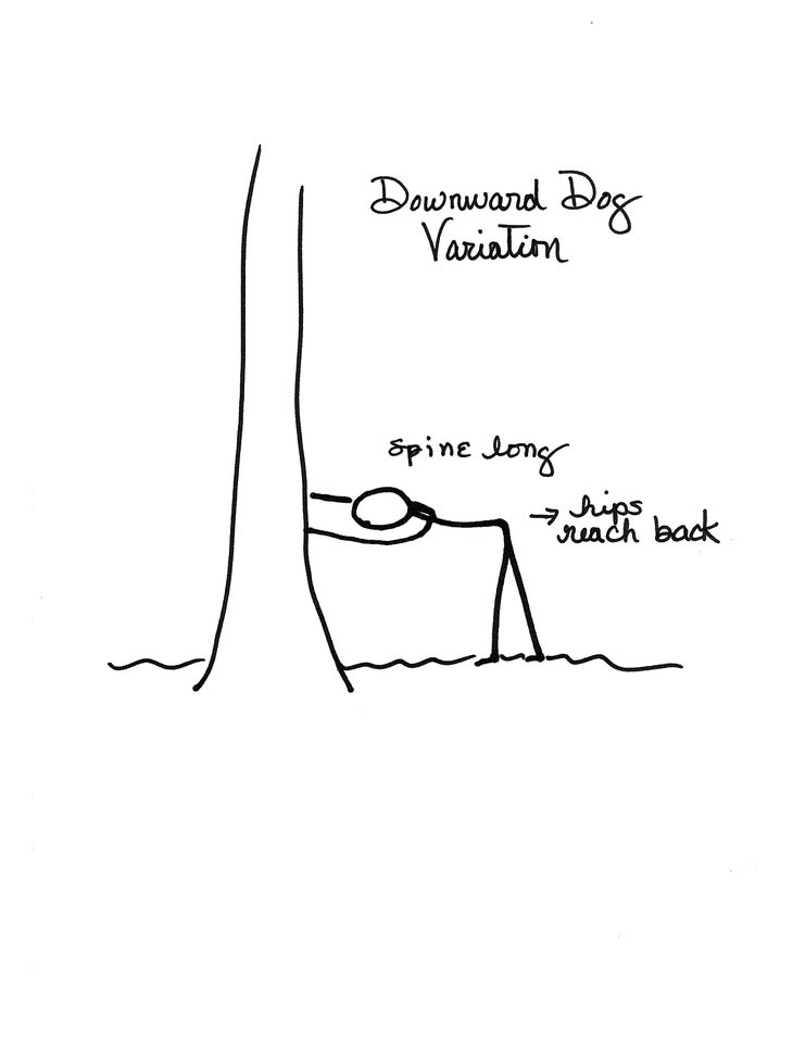 5down dog variation None