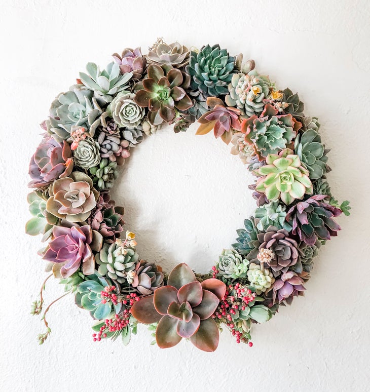 succulent-wreath None
