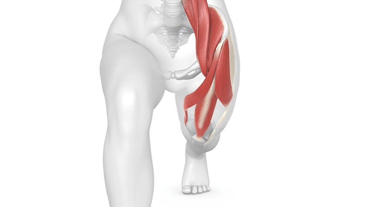 The Anatomy Of Your Psoas The Key To Releasing Stress And Paving The