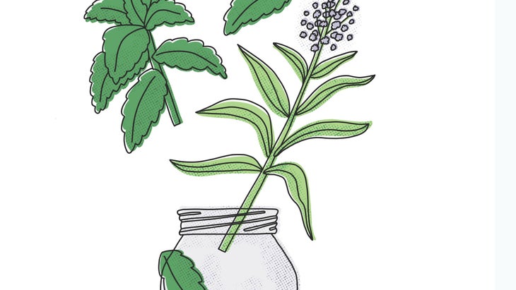 FOODFeature-316-YJ-Recipe_2 Illustration of herbs dropping into a Mason jar