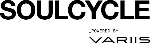 LingoAsset None