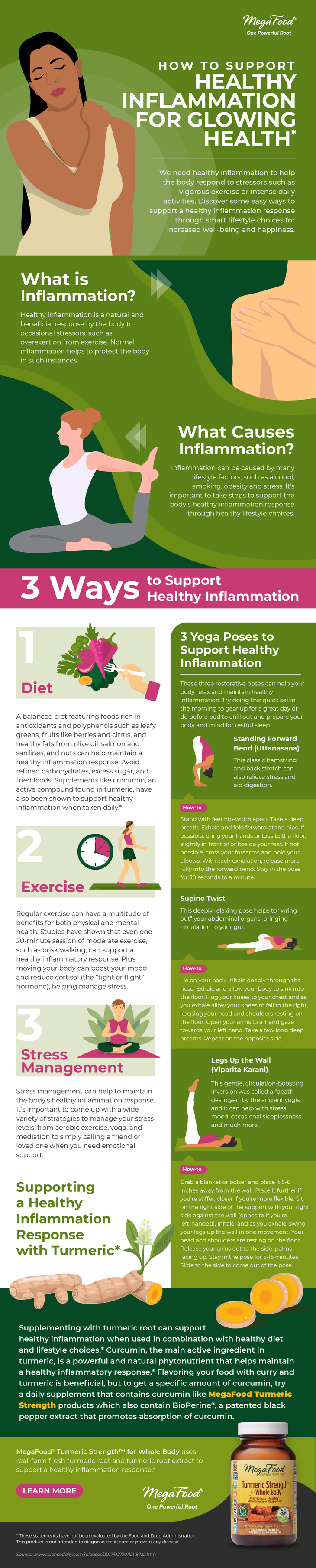 MegaFood-Infographic None