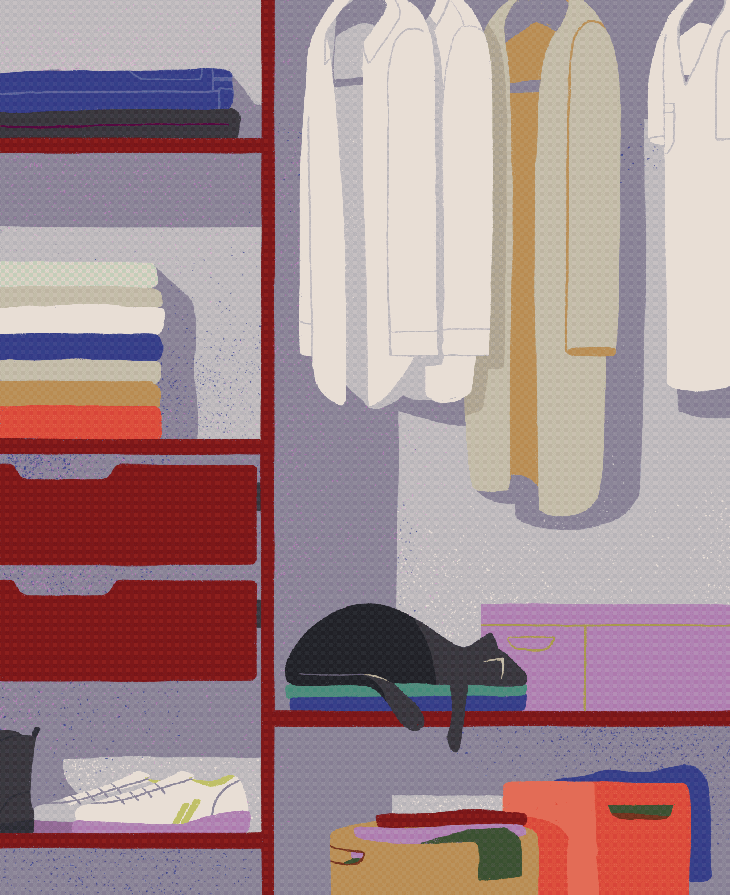 An illustration of a black cat in a well-organized closet