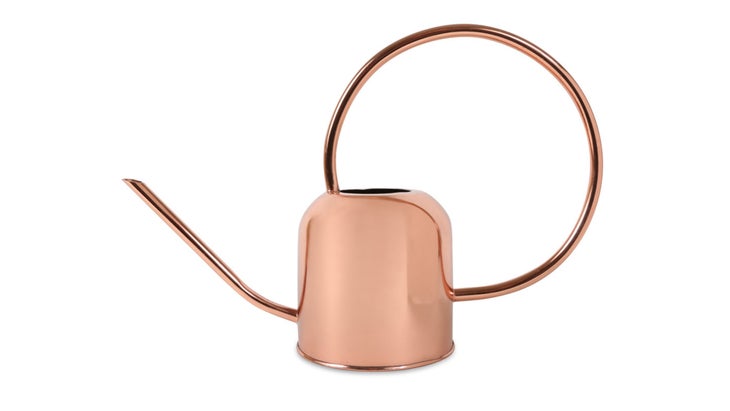 Metallic copper watering can