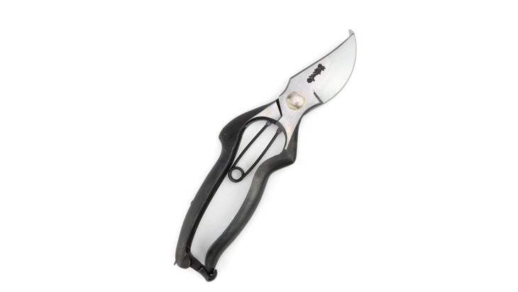 Pruning shears