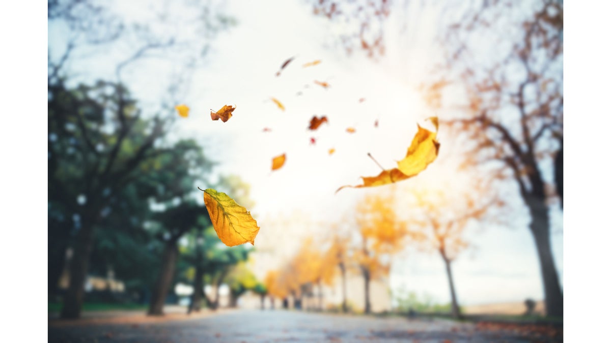10 Grounding Poses to Balance Your Vata Dosha This Fall