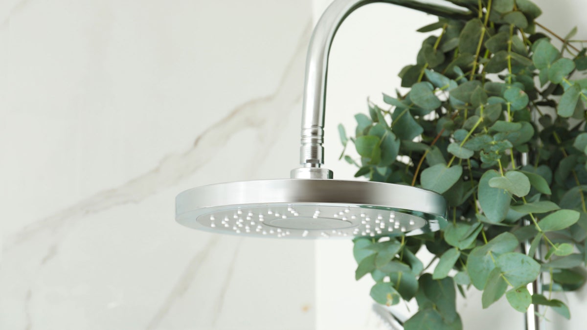 Why Everyone's Putting Eucalyptus In Their Shower—And Why You Should, Too