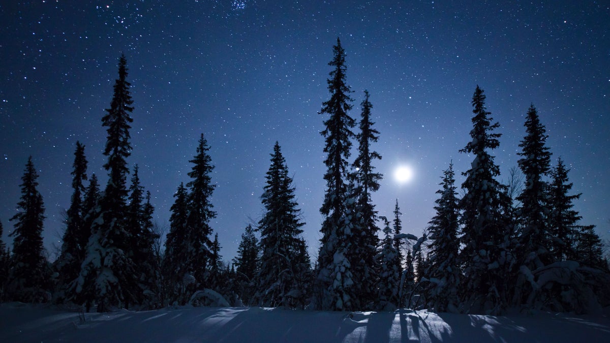 Your Weekly Astrology Forecast, January 16–22: A Time for Reflection