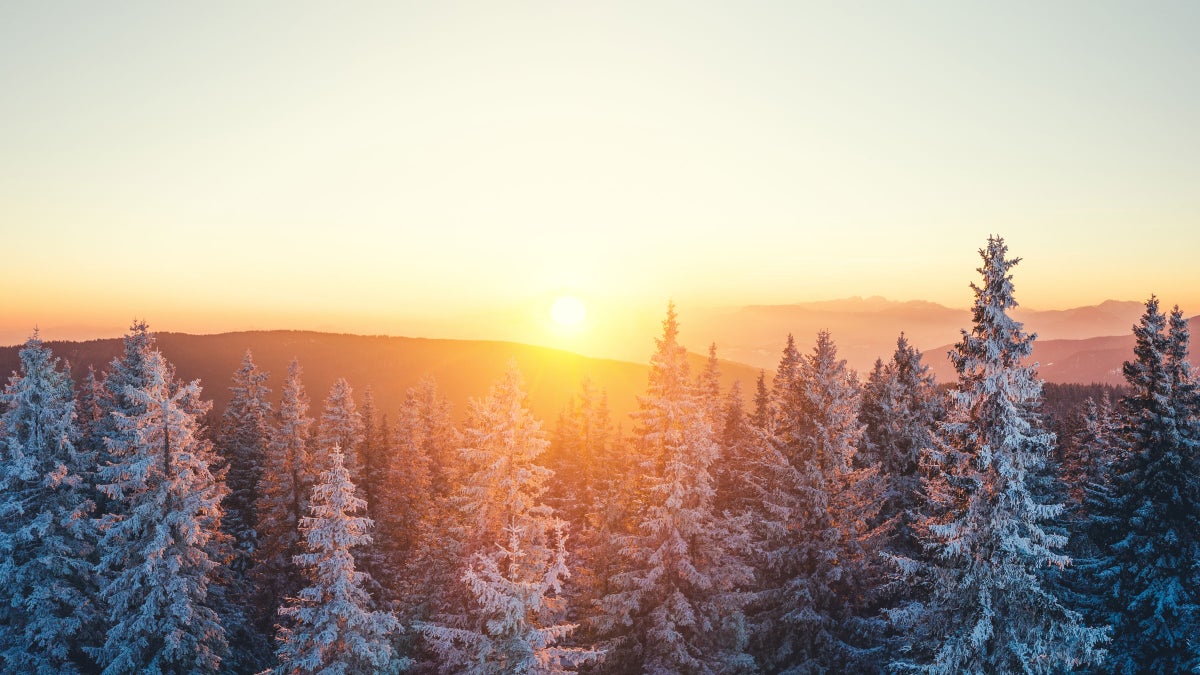 Your Weekly Astrology Forecast, February 13-19: Let Love and Intuition Lead