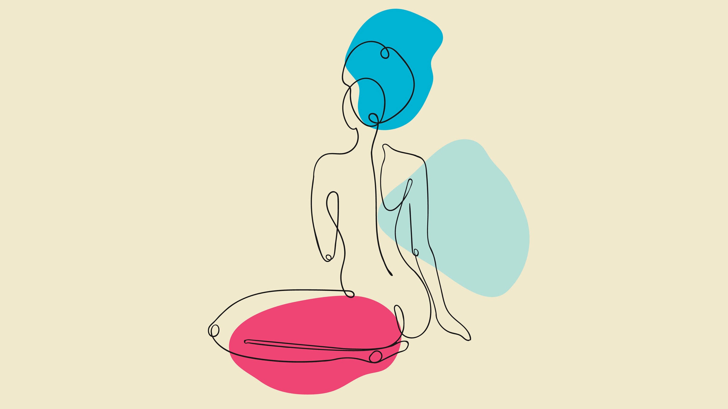 An illustration of the female body