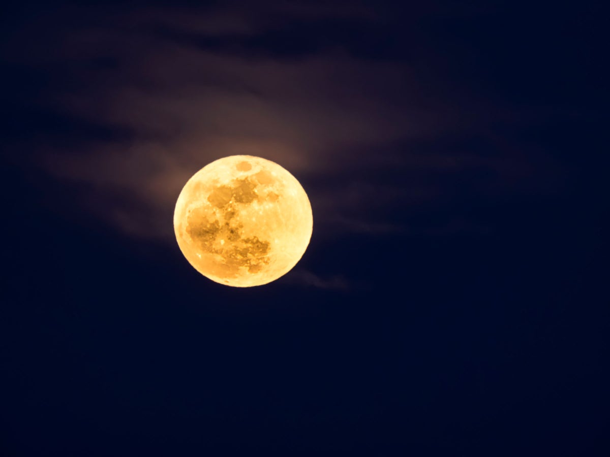 The Full Moon in Leo Reminds You Who You Truly Are