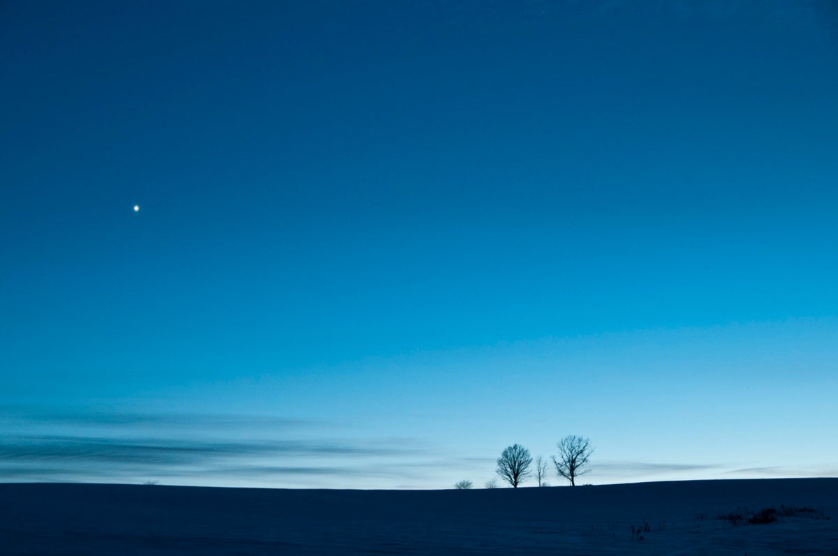 Your Weekly Astrology Forecast, February 6-12: Let Love and Truth Prevail